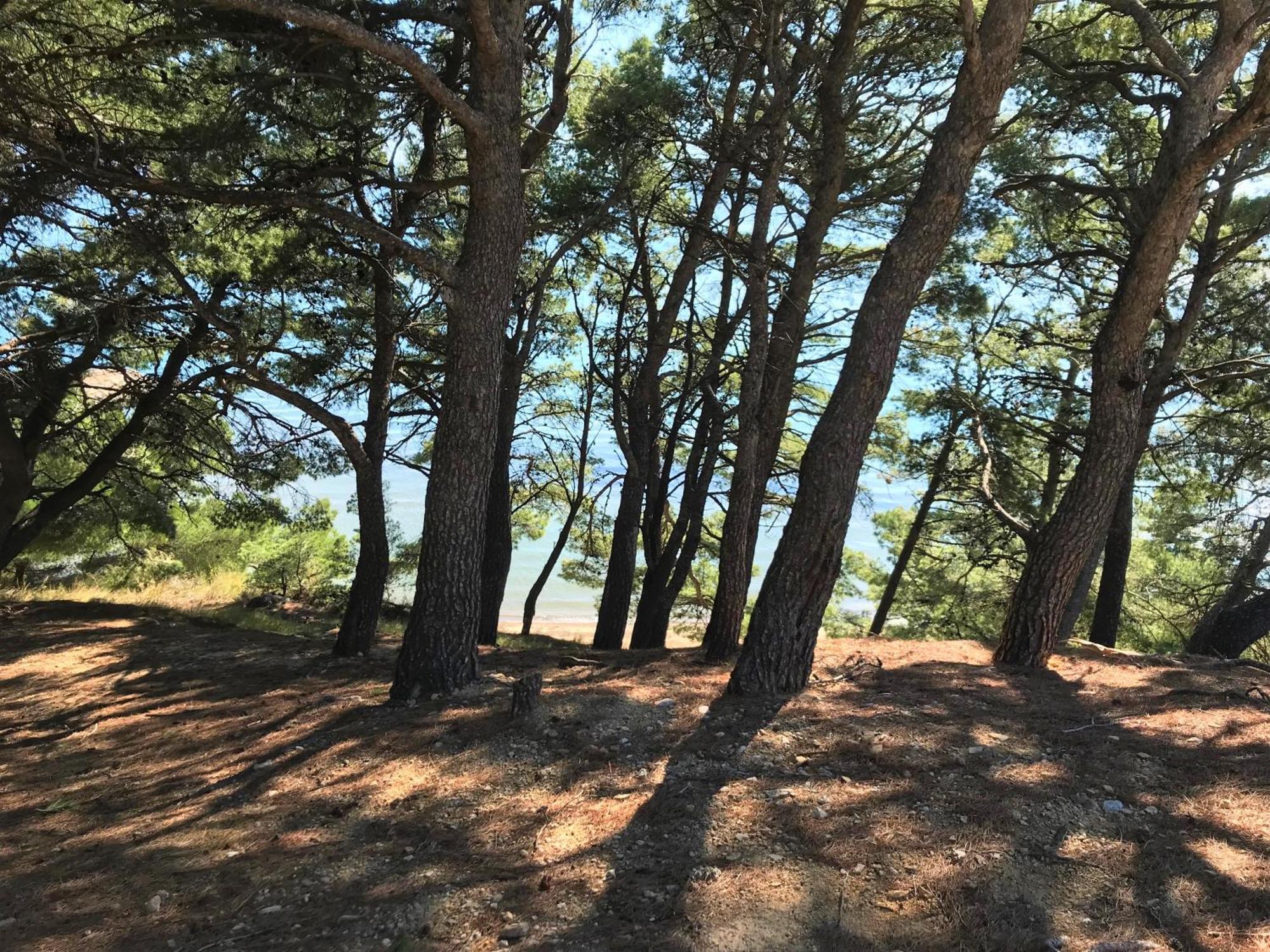 Beach Apartments "Bili Cvitak" Duće Kültér fotó